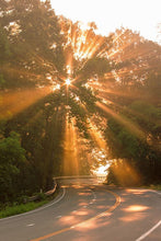 Load image into Gallery viewer, Golden Hour
